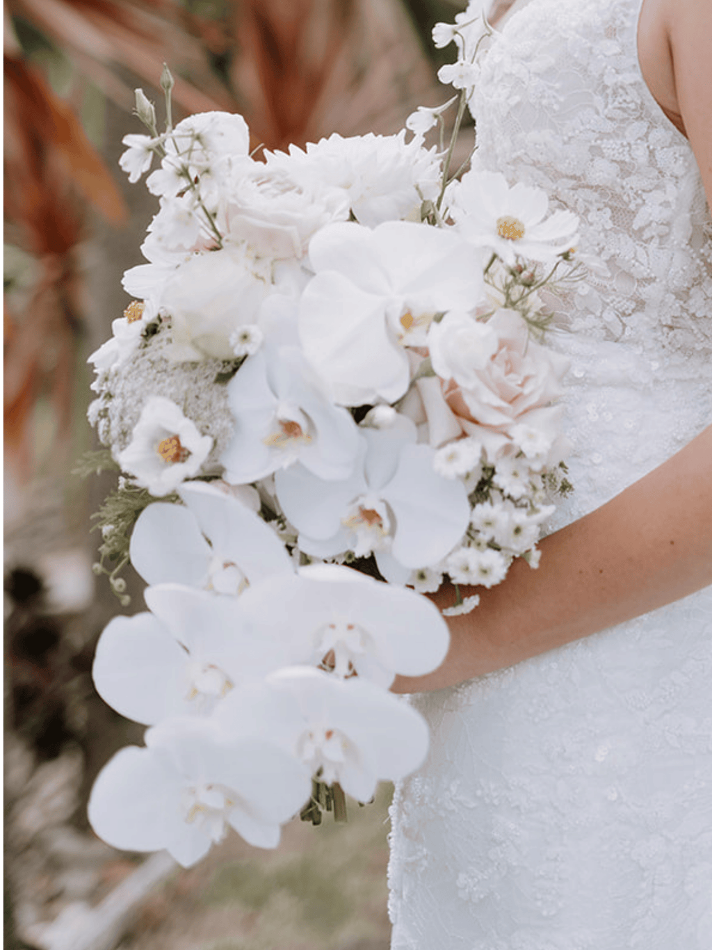 A bridal bouquet of white orchids, white roses, and delicate filler flowers held by a bride wearing a white lace wedding dress, with a softly blurred outdoor background.